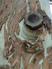 PC131086a.jpg